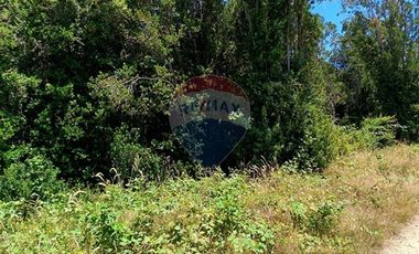 Parcelas imperdibles en Valdivia.