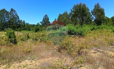 Parcelas imperdibles en Valdivia.