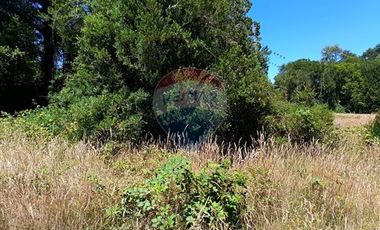 Parcelas imperdibles en Valdivia.