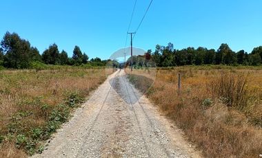 Parcelas imperdibles en Valdivia.