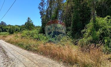 Parcelas imperdibles en Valdivia.