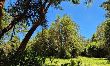 Parcelas imperdibles en Valdivia.