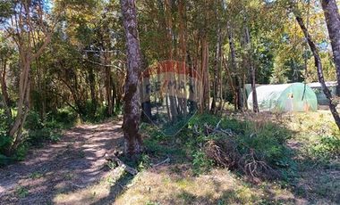 Parcelas imperdibles en Valdivia.