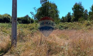 Parcelas imperdibles en Valdivia.