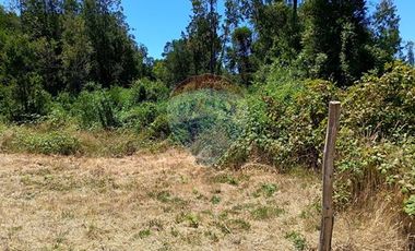 Parcelas imperdibles en Valdivia.