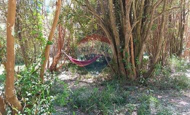 Parcelas imperdibles en Valdivia.