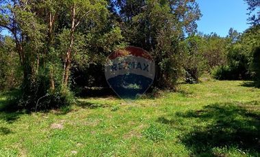 Parcelas imperdibles en Valdivia.