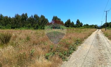 Parcelas imperdibles en Valdivia.