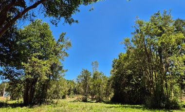 Parcelas imperdibles en Valdivia.
