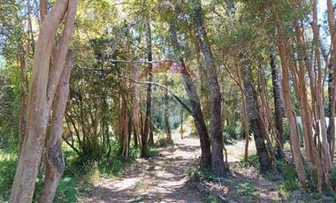 Parcelas imperdibles en Valdivia.