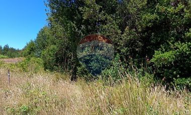 Parcelas imperdibles en Valdivia.