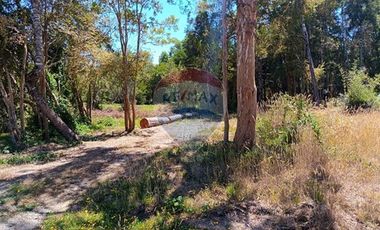 Parcelas imperdibles en Valdivia.