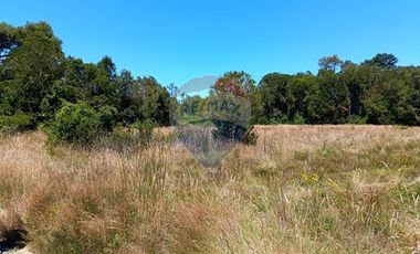 Parcelas imperdibles en Valdivia.