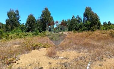 Parcelas imperdibles en Valdivia.