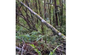 Terreno Valle del Rio Blanco, Ensenada
