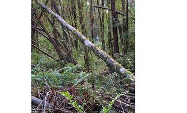 Terreno Valle del Rio Blanco, Ensenada
