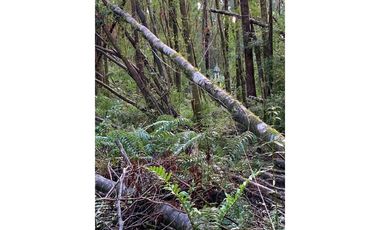 Terreno Valle del Rio Blanco, Ensenada