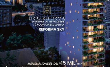Lirio Reforma