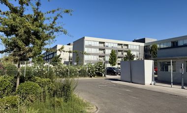 AMERICO VESPUCIO//LAS TORRES