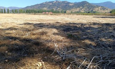 SE VENDE PARCELA DE 5000 M2 EN SAN VICENTE