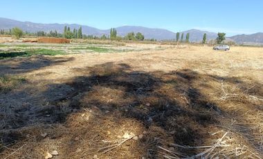 SE VENDE PARCELA DE 5000 M2 EN SAN VICENTE