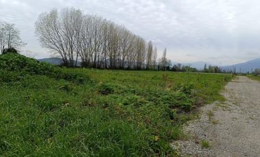 SE VENDE PARCELA DE 5000 M2 EN SAN VICENTE