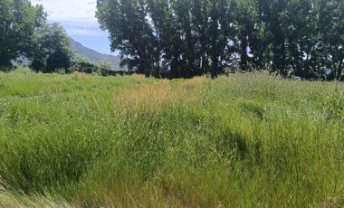 SE VENDE PARCELA DE 5000 M2 EN SAN VICENTE