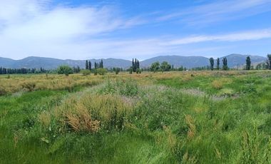 SE VENDE PARCELA DE 5000 M2 EN SAN VICENTE