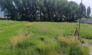 SE VENDE PARCELA DE 5000 M2 EN SAN VICENTE