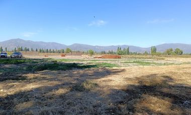 SE VENDE PARCELA DE 5000 M2 EN SAN VICENTE