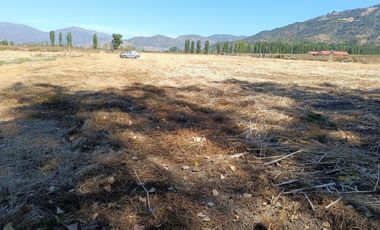 SE VENDE PARCELA DE 5000 M2 EN SAN VICENTE