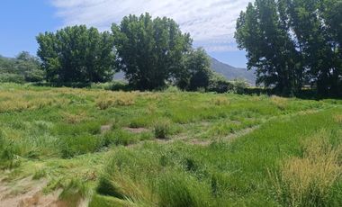 SE VENDE PARCELA DE 5000 M2 EN SAN VICENTE