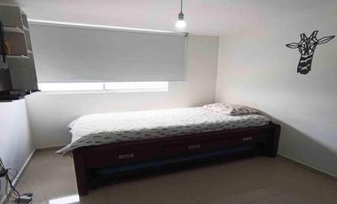 APARTAMENTO AMOBLADO EN ARRIENDO/LA FRANCIA/ MANIZALES