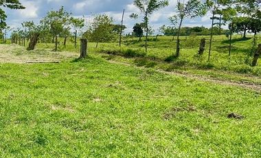 LOTE EN VENTA VIA QUIMBAYA / QUINDIO