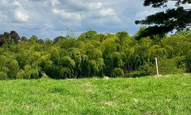 LOTE EN VENTA VIA QUIMBAYA / QUINDIO