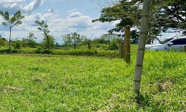LOTE EN VENTA VIA QUIMBAYA / QUINDIO