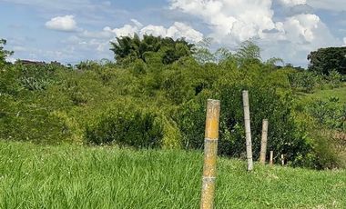 LOTE EN VENTA VIA QUIMBAYA / QUINDIO