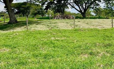 LOTE EN VENTA VIA QUIMBAYA / QUINDIO
