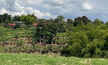 LOTE EN VENTA VIA QUIMBAYA / QUINDIO