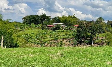 LOTE EN VENTA VIA QUIMBAYA / QUINDIO