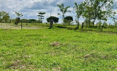 LOTE EN VENTA VIA QUIMBAYA / QUINDIO