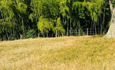 LOTE EN VENTA VIA QUIMBAYA / QUINDIO