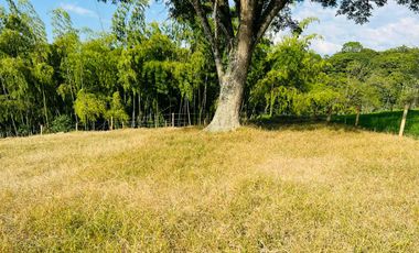 LOTE EN VENTA VIA QUIMBAYA / QUINDIO