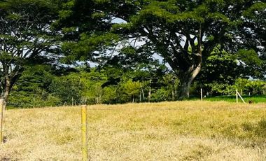 LOTE EN VENTA VIA QUIMBAYA / QUINDIO