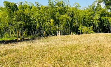 LOTE EN VENTA VIA QUIMBAYA / QUINDIO