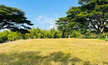 LOTE EN VENTA VIA QUIMBAYA / QUINDIO