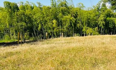 LOTE EN VENTA VIA QUIMBAYA / QUINDIO
