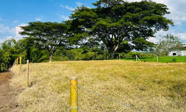 LOTE EN VENTA VIA QUIMBAYA / QUINDIO