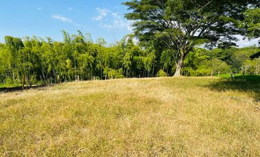 LOTE EN VENTA VIA QUIMBAYA / QUINDIO