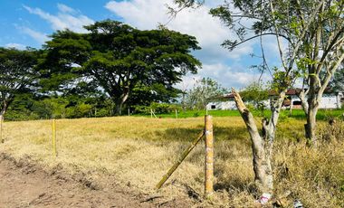 LOTE EN VENTA VIA QUIMBAYA / QUINDIO